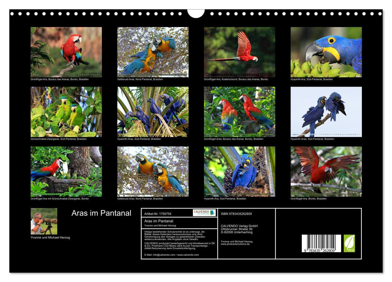 Bild: 9783435262809 | Aras im Pantanal (Wandkalender 2025 DIN A3 quer), CALVENDO...