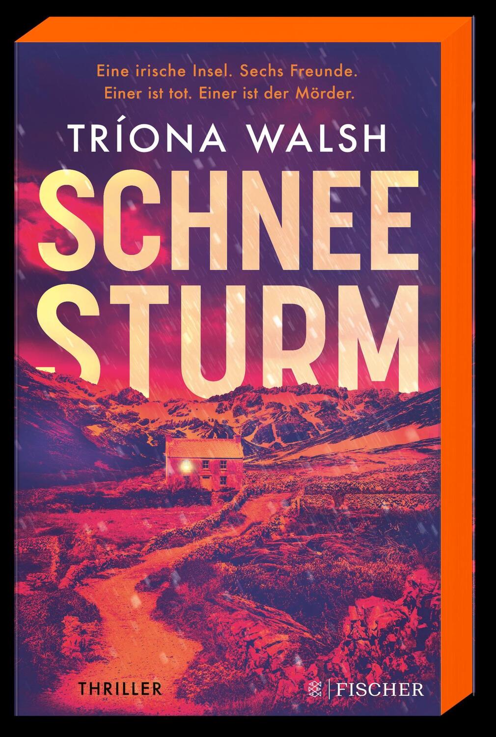 Bild: 9783596708994 | Schneesturm | Tríona Walsh | Taschenbuch | 384 S. | Deutsch | 2023