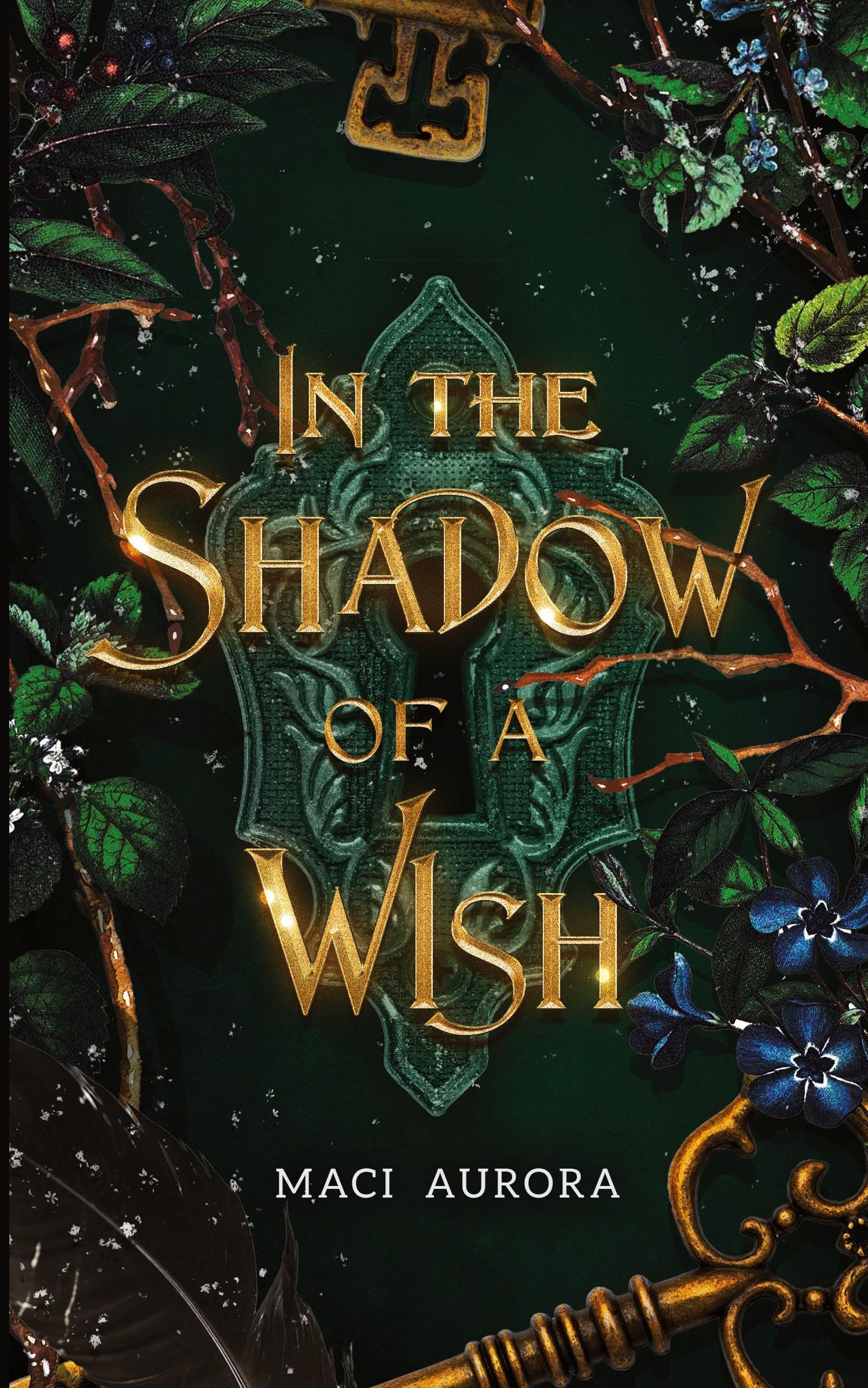 Cover: 9798985032505 | In the Shadow of a Wish | A Fareview Fairytale, Book 1 | Maci Aurora