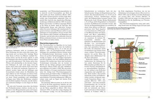 Bild: 9783866591615 | Freilandterrarien für Schlangen | Martin Hallmen | Taschenbuch | 2011