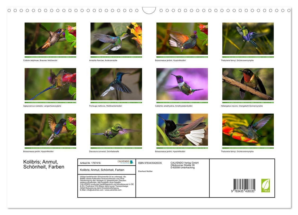 Bild: 9783435428335 | Kolibris; Anmut, Schönheit, Farben (Wandkalender 2025 DIN A3 quer),...