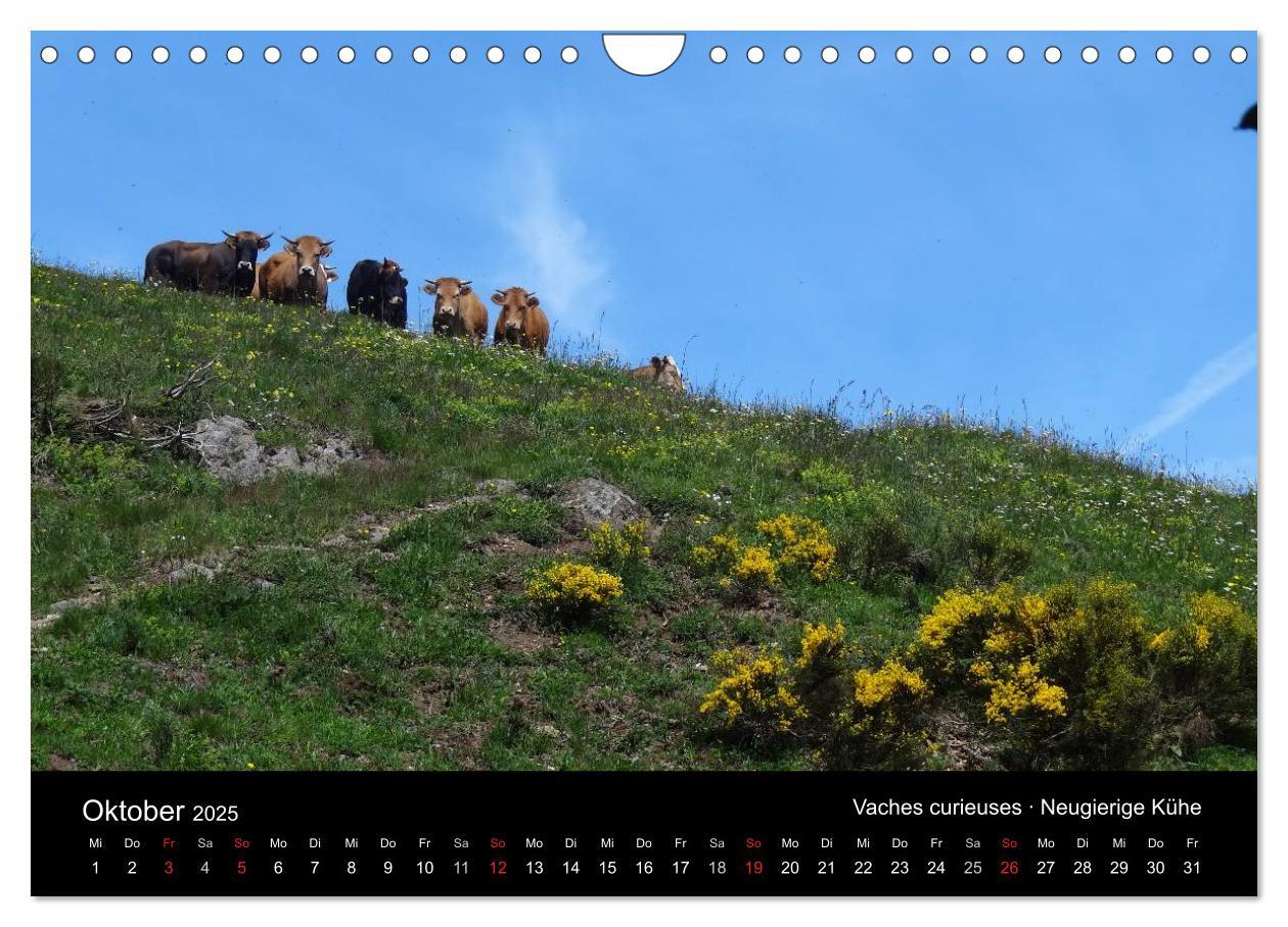 Bild: 9783435695232 | Ardèche · Wandergebirge und Kajakschluchten in Südfrankreich...