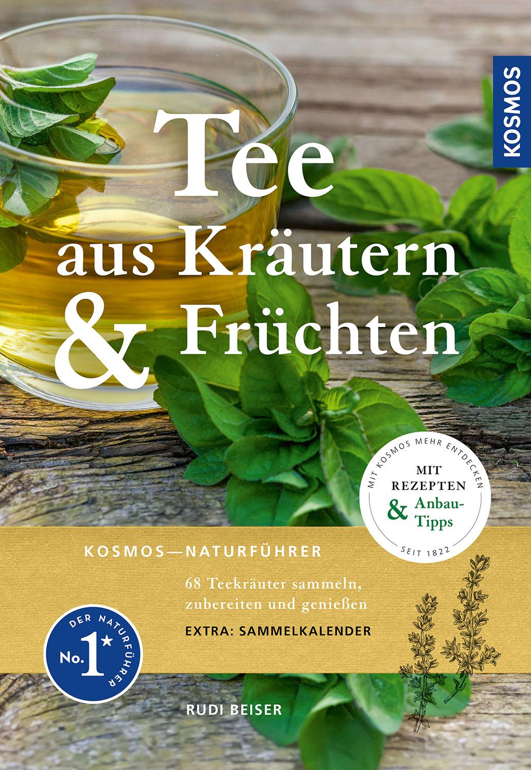 Cover: 9783440176757 | Tee aus Kräutern und Früchten | Rudi Beiser | Taschenbuch | 196 S.