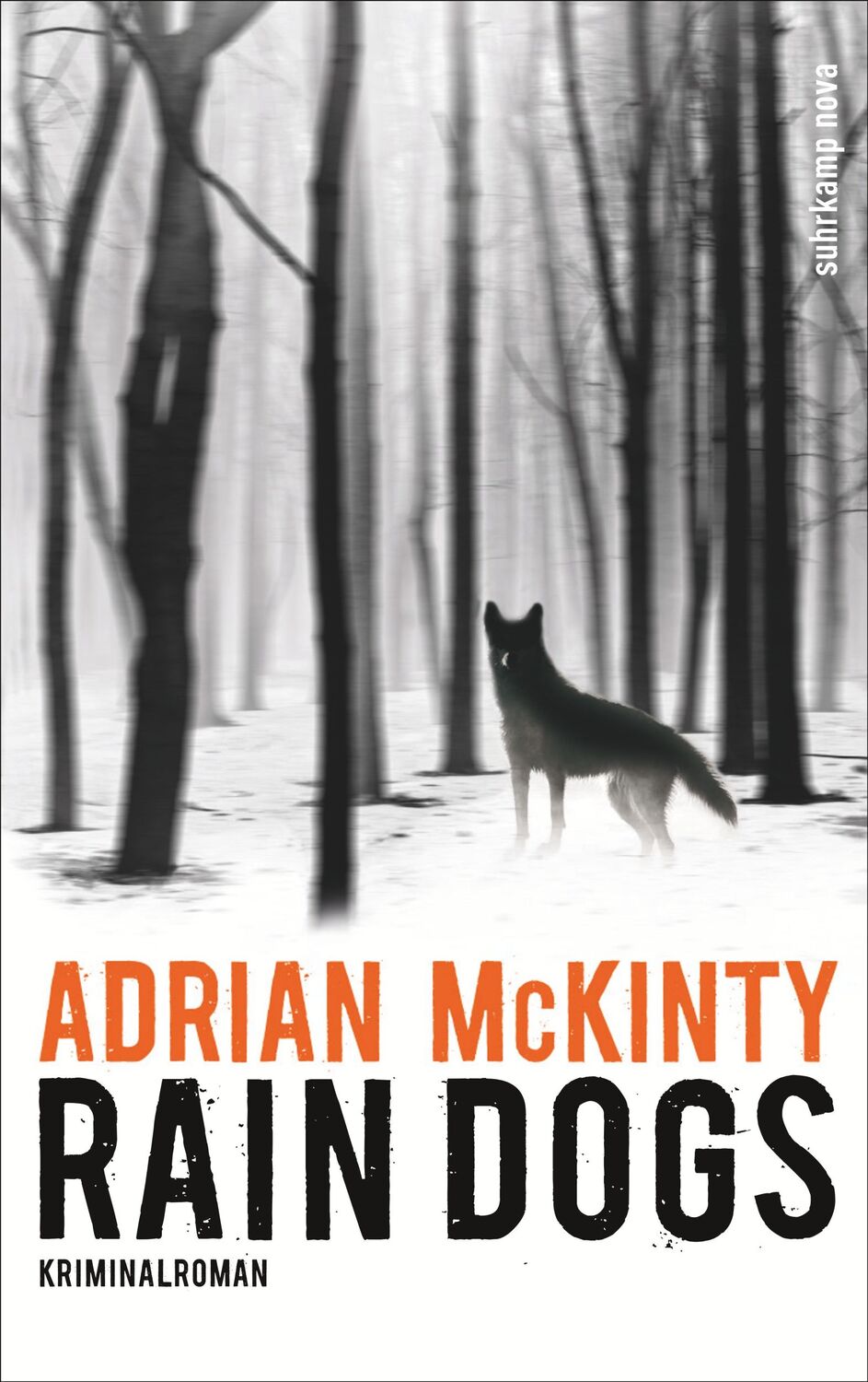 Cover: 9783518467473 | Rain Dogs | Adrian McKinty | Taschenbuch | Sean Duffy | 404 S. | 2017