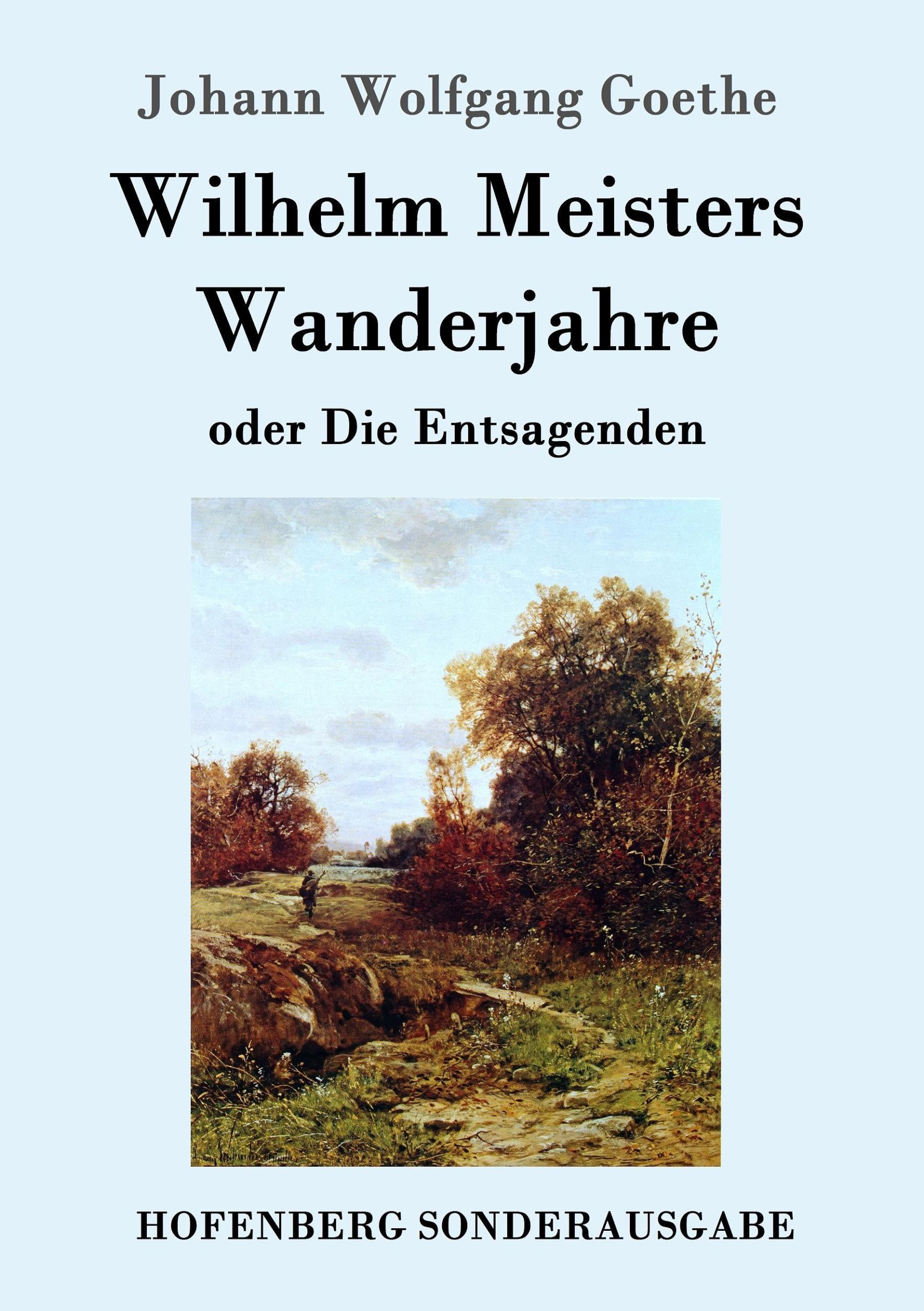 Cover: 9783843017244 | Wilhelm Meisters Wanderjahre | oder Die Entsagenden | Goethe | Buch