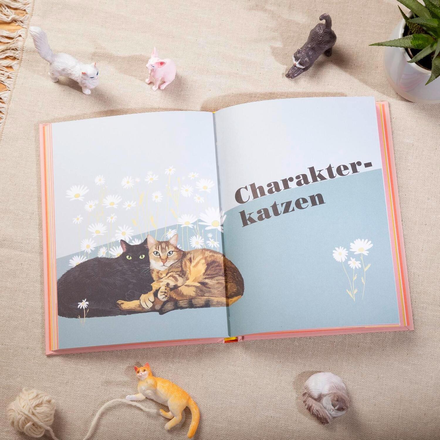 Bild: 9783848502578 | Miau - Wie gut kennst du deine Katze? | Alison Davies | Buch | 128 S.