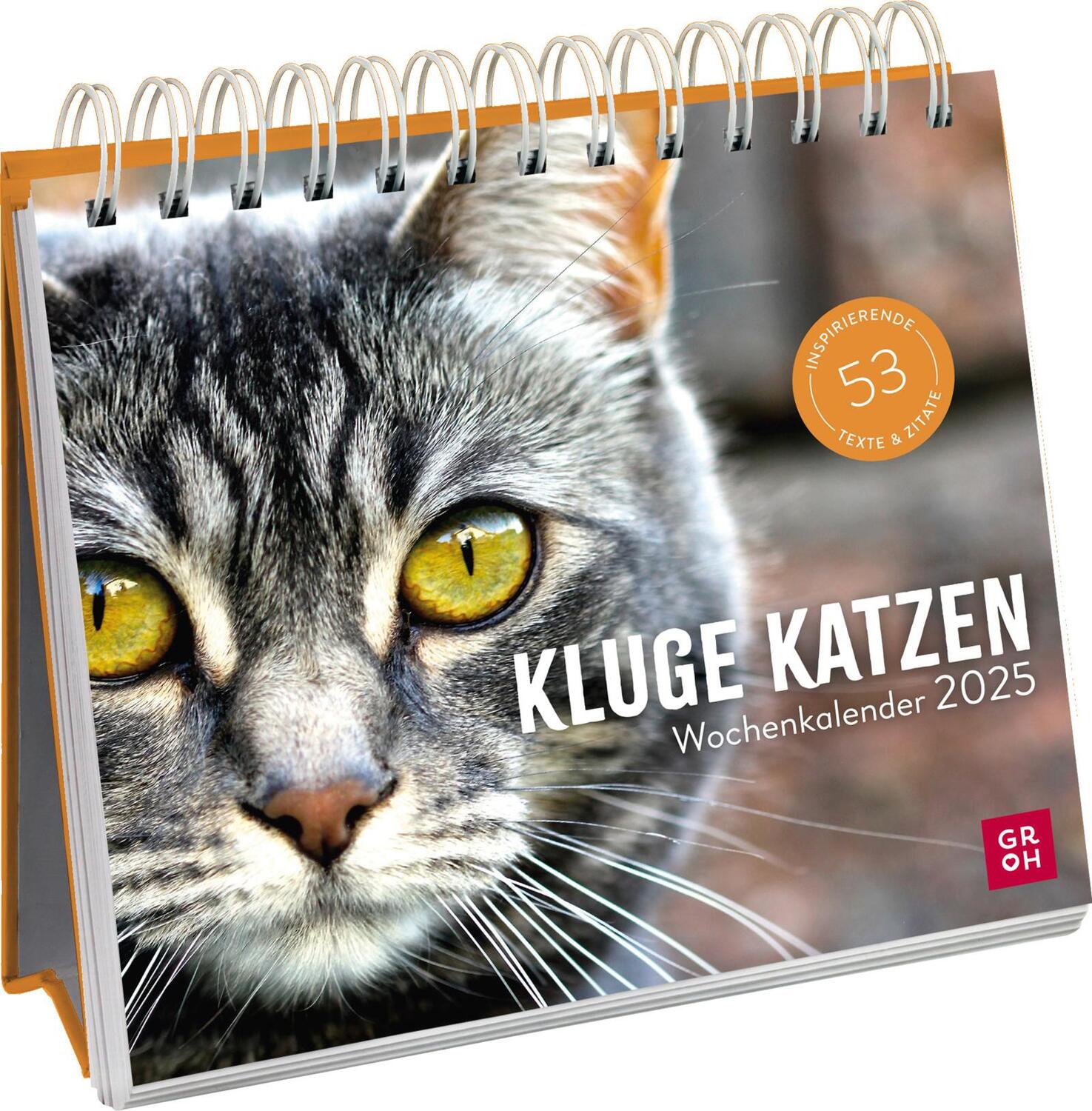 Cover: 4036442012017 | Wochenkalender 2025: Kluge Katzen | Kathrin Schmoll | Kalender | 2025