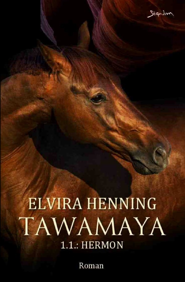 Cover: 9783757523701 | Tawamaya - 1.1.: Hermon | Ein historischer Roman. DE | Elvira Henning