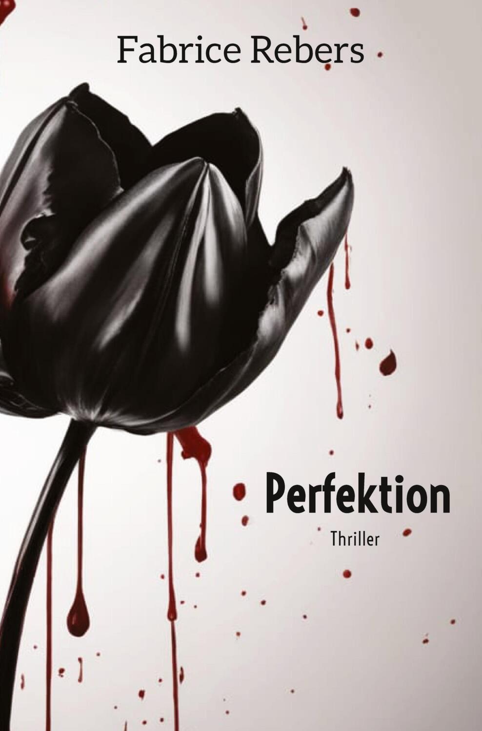 Cover: 9783384035998 | Perfektion | Fabrice Rebers | Taschenbuch | Paperback | 352 S. | 2023