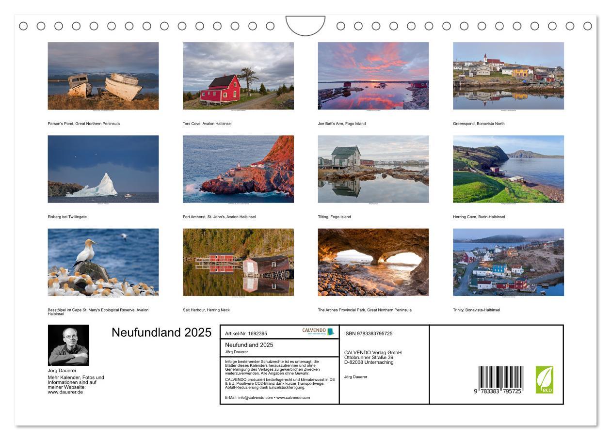 Bild: 9783383795725 | Neufundland 2025 (Wandkalender 2025 DIN A4 quer), CALVENDO...