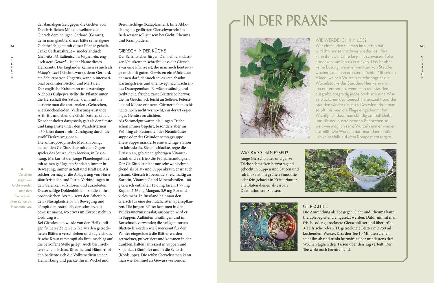 Bild: 9783833863493 | Die "Unkräuter" in meinem Garten | Wolf-Dieter Storl | Buch | 240 S.