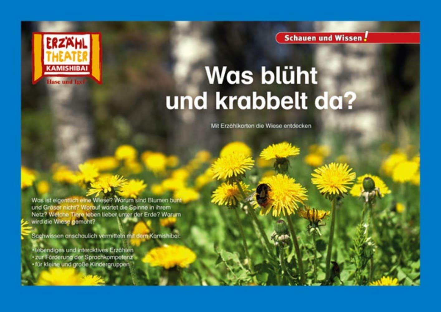 Cover: 4260505830984 | Kamishibai: Was blüht und krabbelt da? | Box | 10 S. | Deutsch | 2019