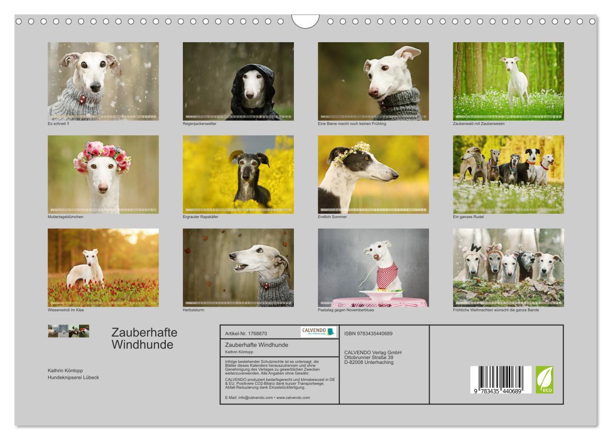 Bild: 9783435440689 | Zauberhafte Windhunde (Wandkalender 2025 DIN A3 quer), CALVENDO...