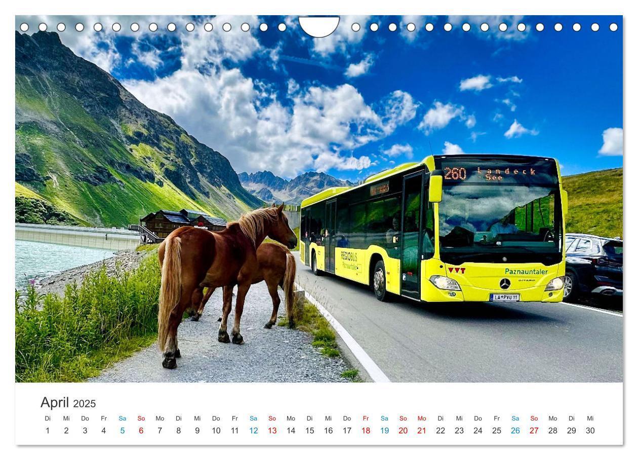 Bild: 9783383829895 | Omnibusse im Fokus (Wandkalender 2025 DIN A4 quer), CALVENDO...