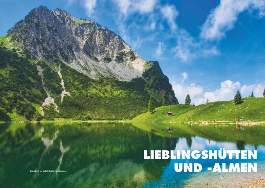 Bild: 9783862466832 | Meine Lieblings-Alpe für Senioren Allgäu | Markus Meier | Taschenbuch