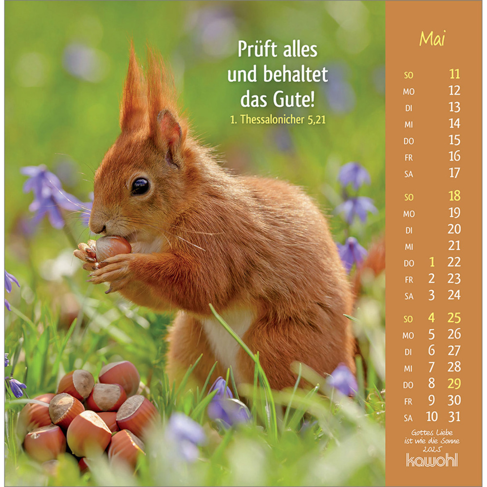 Bild: 9783754848050 | Gottes Liebe ist wie die Sonne 2025 | Tierkalender mit Bibelworten