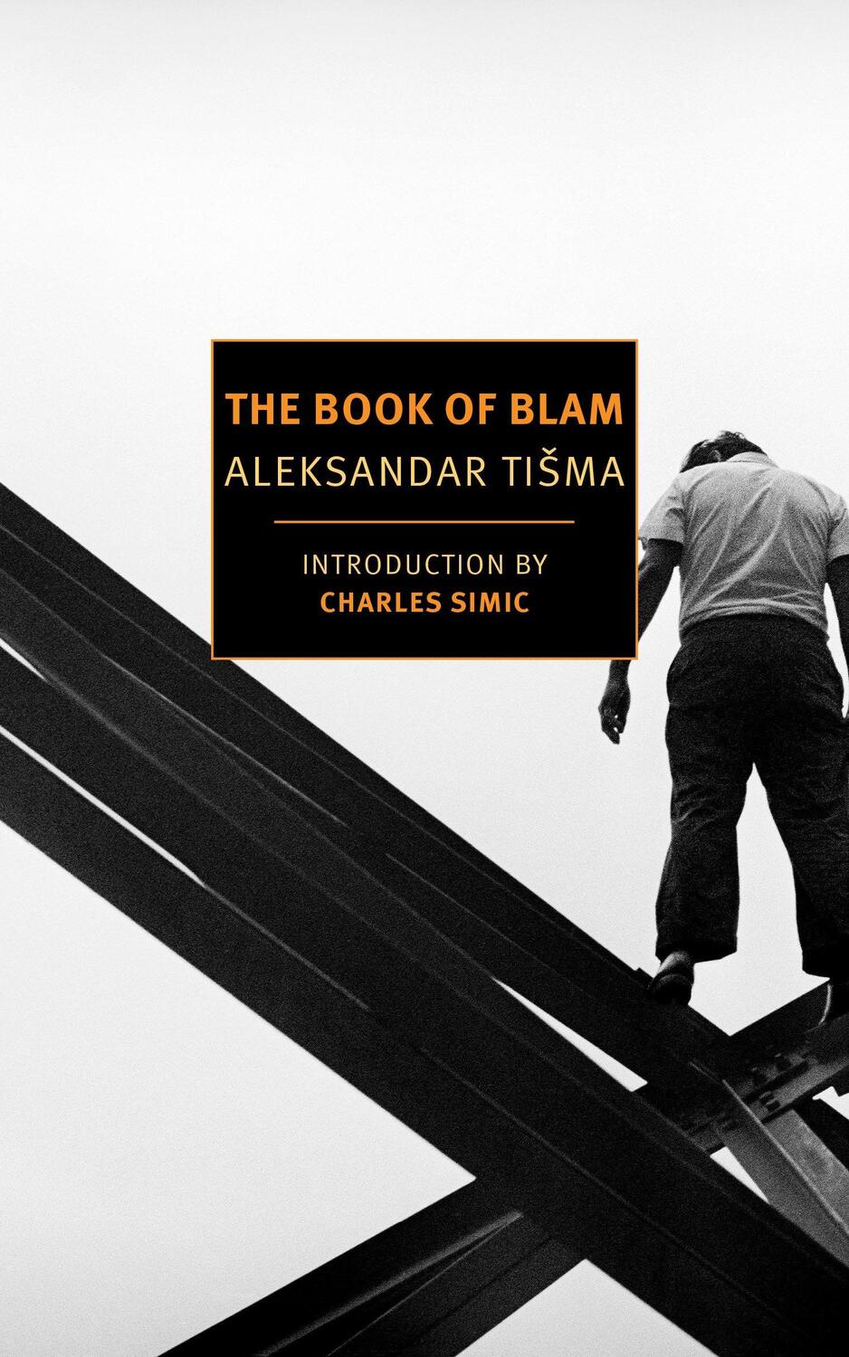 Cover: 9781590179208 | The Book Of Blam | Aleksandar Tisma (u. a.) | Taschenbuch | Englisch