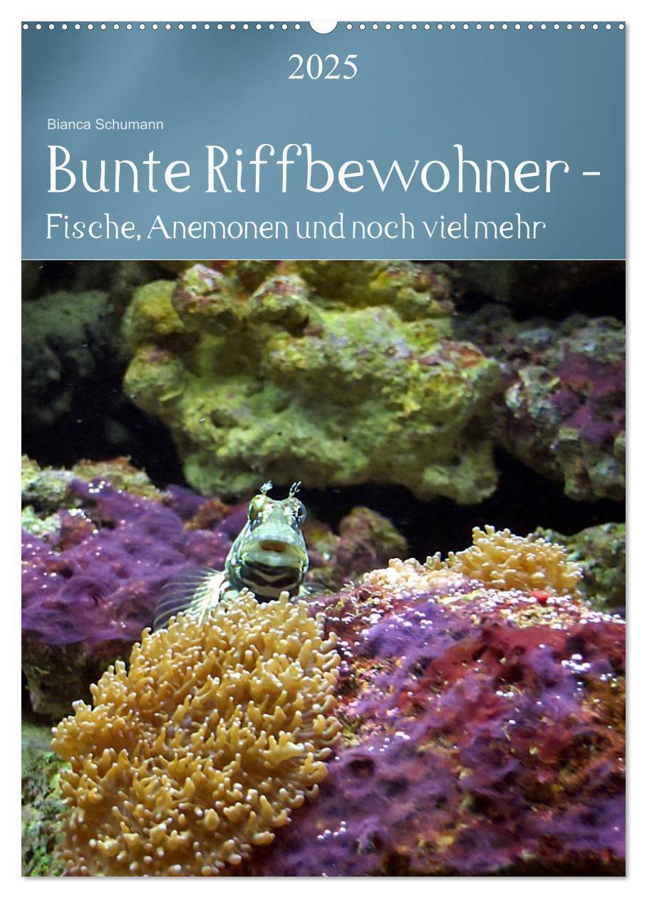 Cover: 9783457060155 | Bunte Riffbewohner - Fische, Anemonen und noch viel mehr...