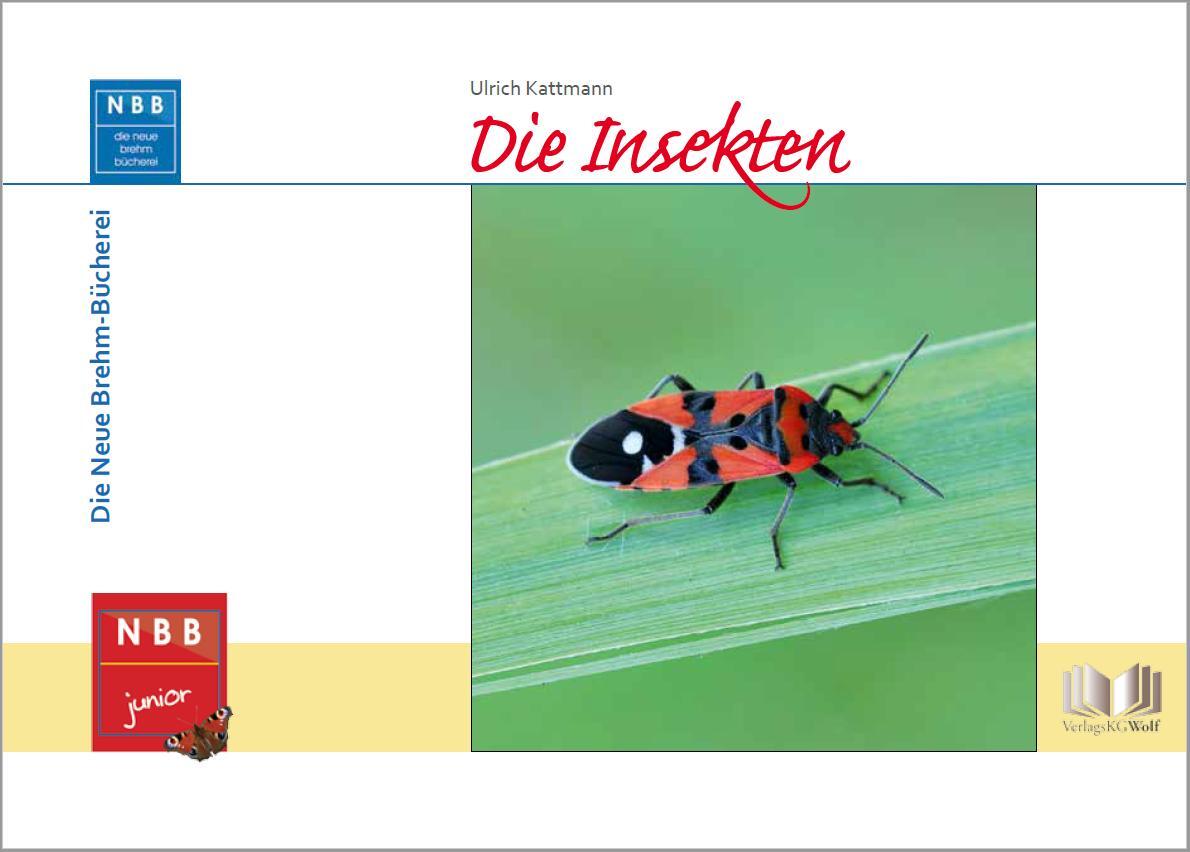 Cover: 9783894322779 | Die Insekten | Ulrich Kattmann | Buch | NBB junior | Deutsch | 2018
