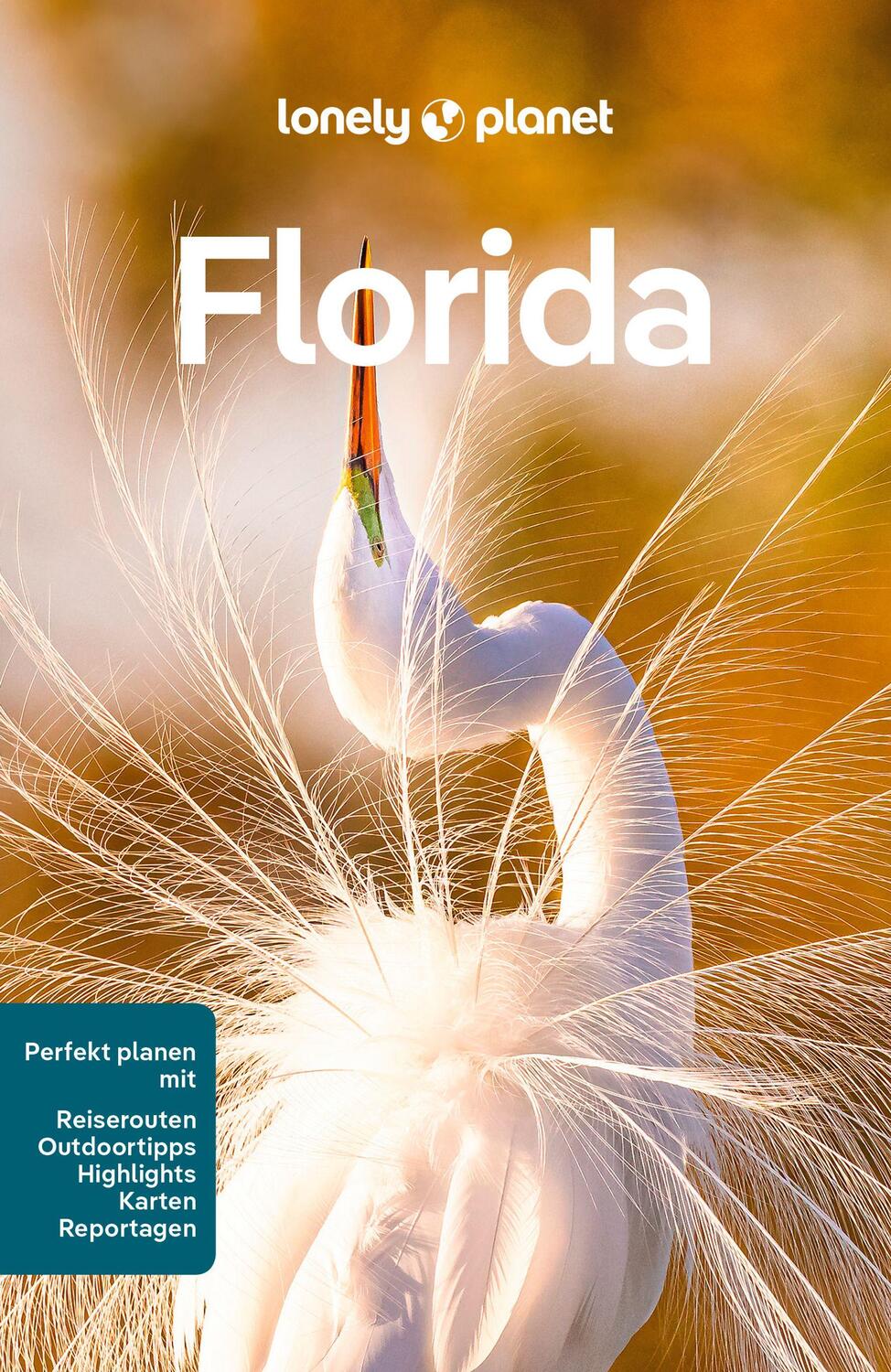 Cover: 9783575011022 | LONELY PLANET Reiseführer Florida | Adam Karlin (u. a.) | Taschenbuch