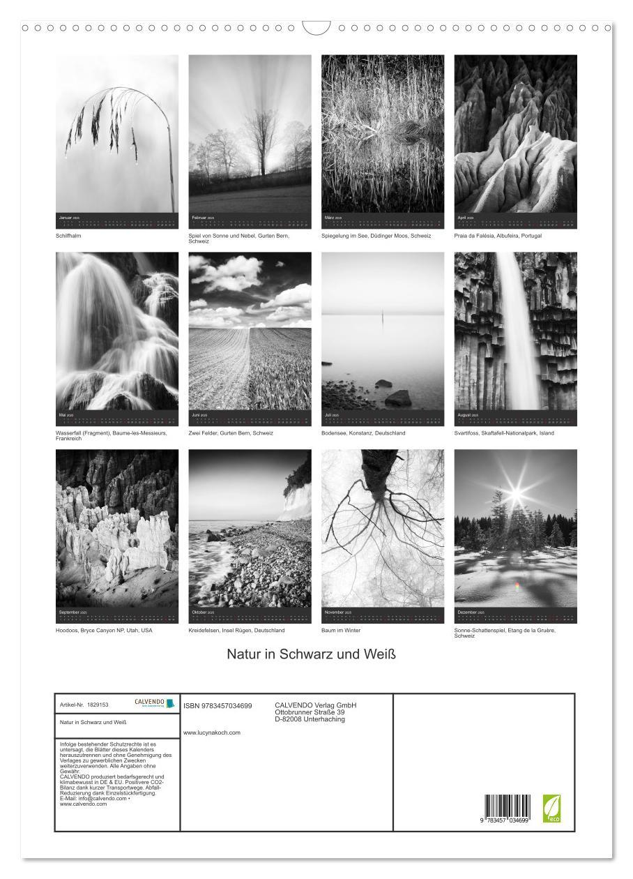 Bild: 9783457034699 | Natur in Schwarz und Weiß (Wandkalender 2025 DIN A2 hoch), CALVENDO...