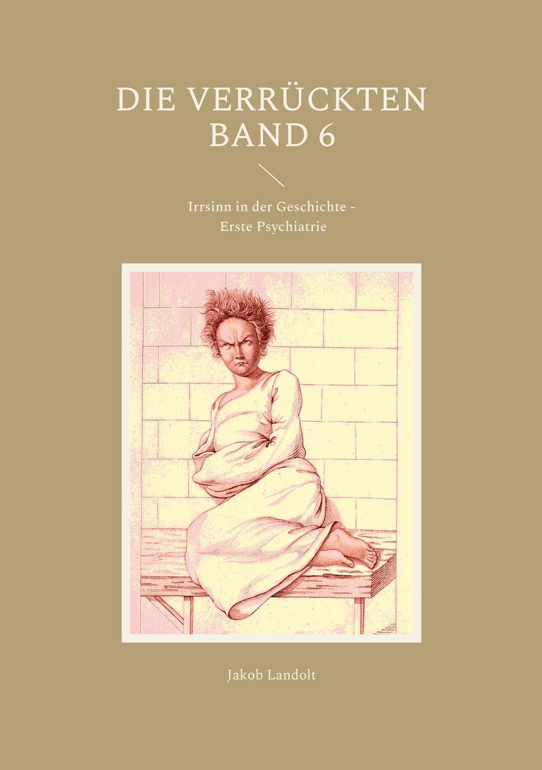 Cover: 9783755791973 | Die Verrückten Band 6 | Jakob Landolt | Taschenbuch | Books on Demand