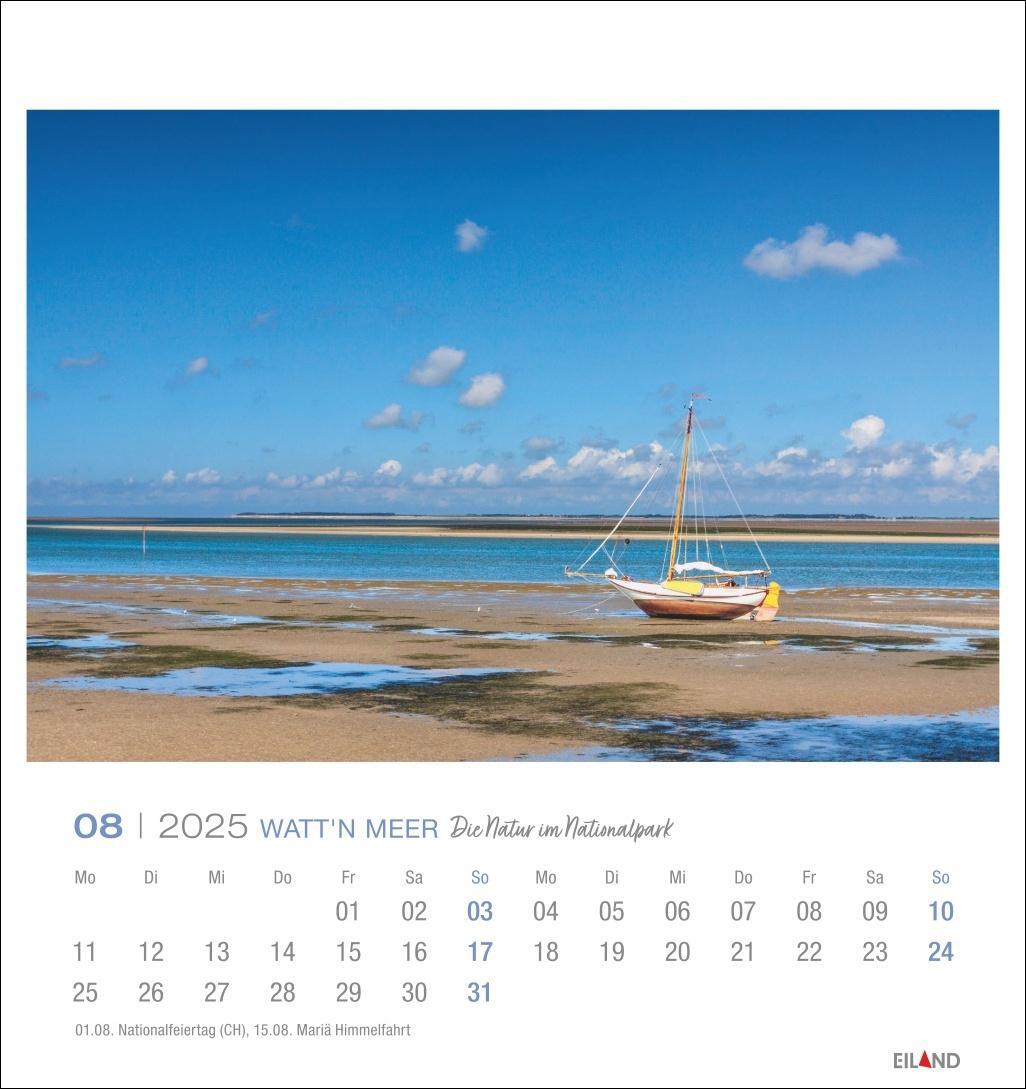 Bild: 9783964023285 | Watt'n Meer Postkartenkalender 2025 - Die Natur im Nationalpark | 2025