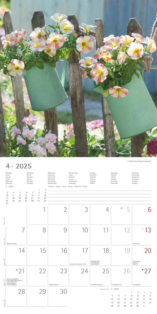 Bild: 4251732340636 | Alpha Edition - Garden &amp; Decoration 2025 Broschürenkalender,...