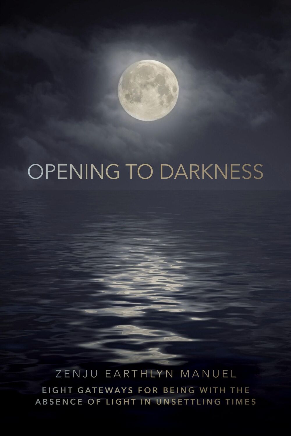 Cover: 9781683648611 | Opening to Darkness | Zenju Earthlyn Manuel | Taschenbuch | Englisch