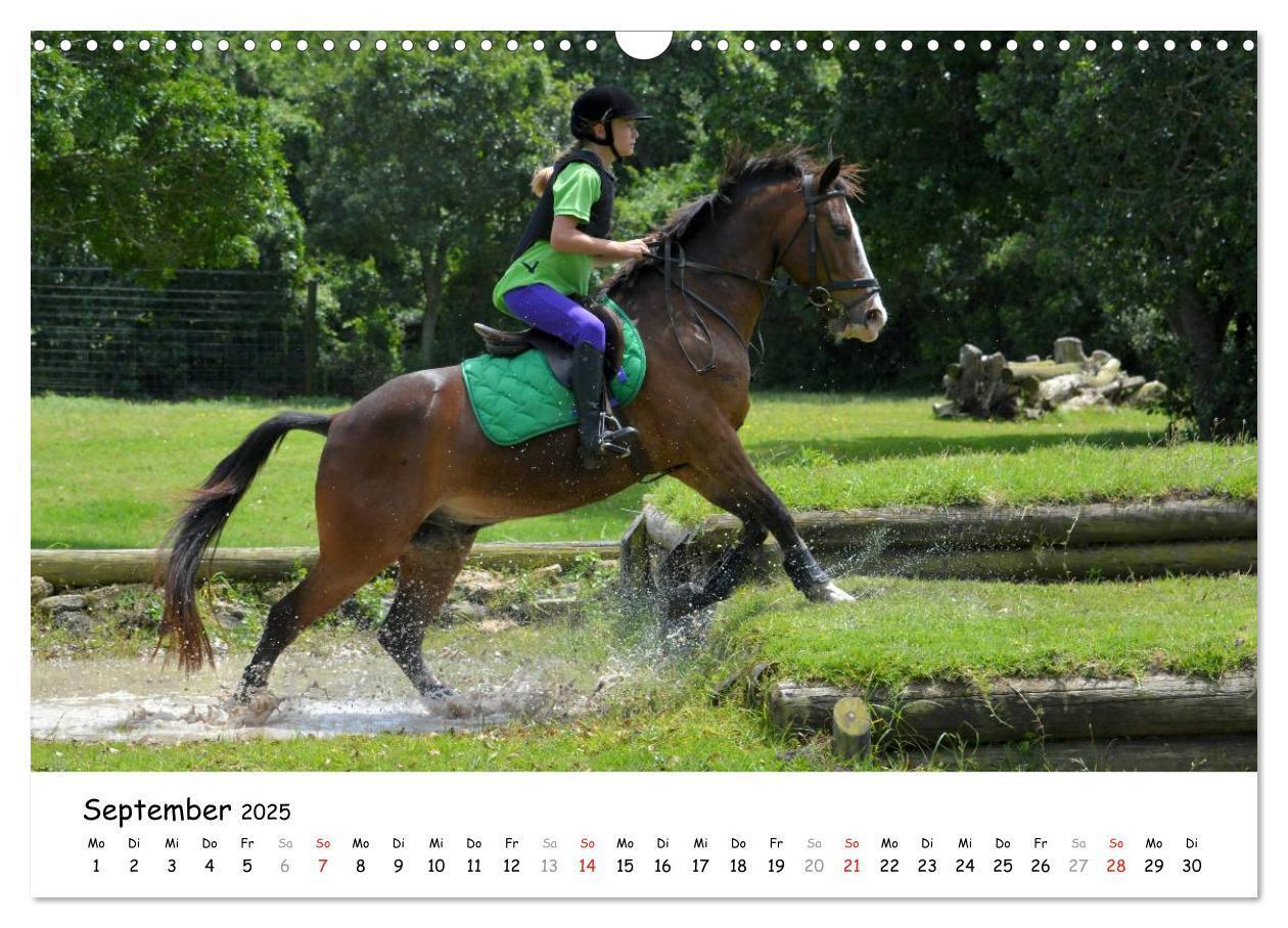 Bild: 9783435606481 | Pony Springreiten (Wandkalender 2025 DIN A3 quer), CALVENDO...