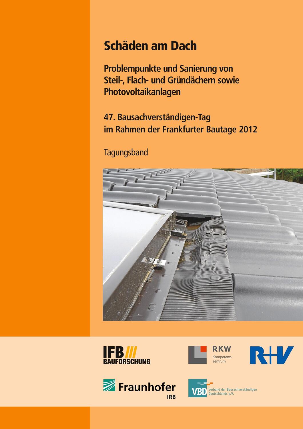 Cover: 9783816787761 | Schäden am Dach. Problempunkte und Sanierung von Steil-, Flach- und...