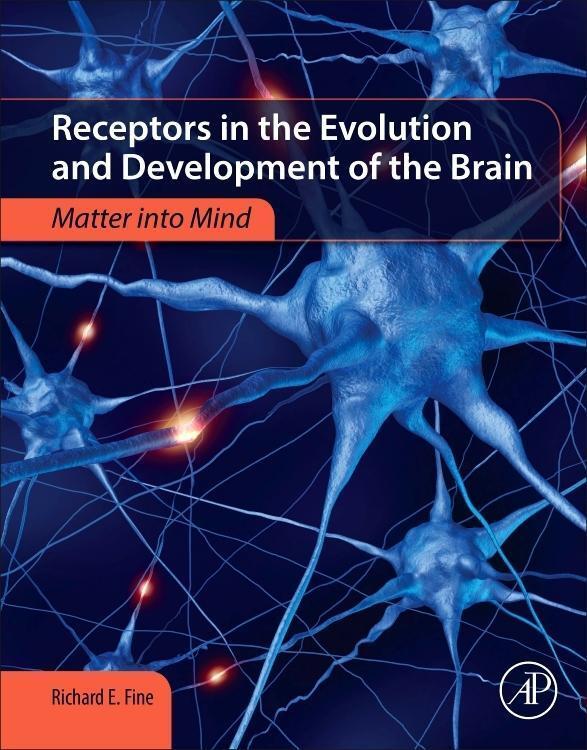 Cover: 9780128110126 | Receptors in the Evolution and Development of the Brain | Fine | Buch