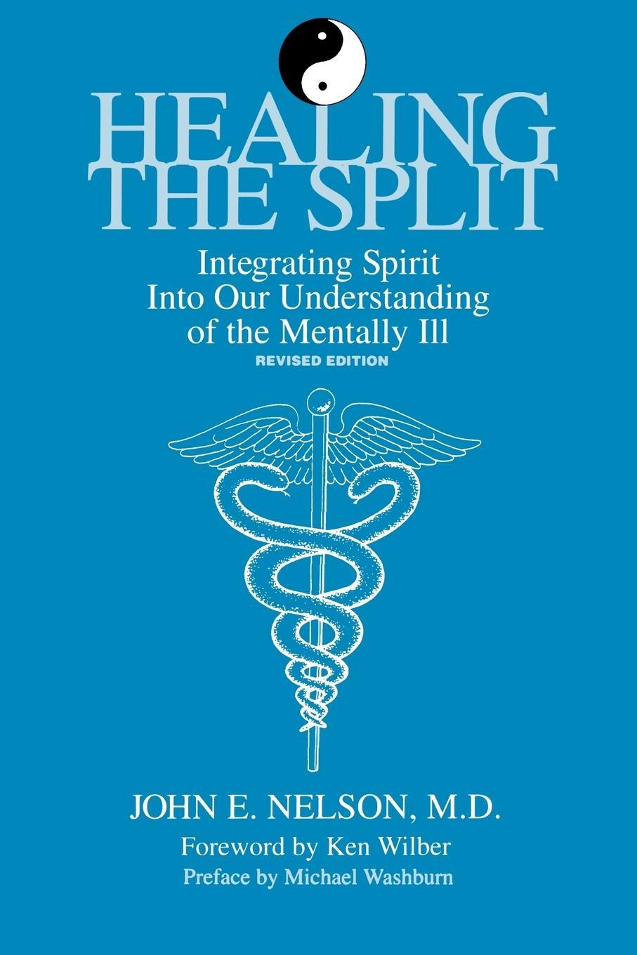 Cover: 9780791419861 | Healing the Split | John E Nelson | Taschenbuch | Paperback | Englisch