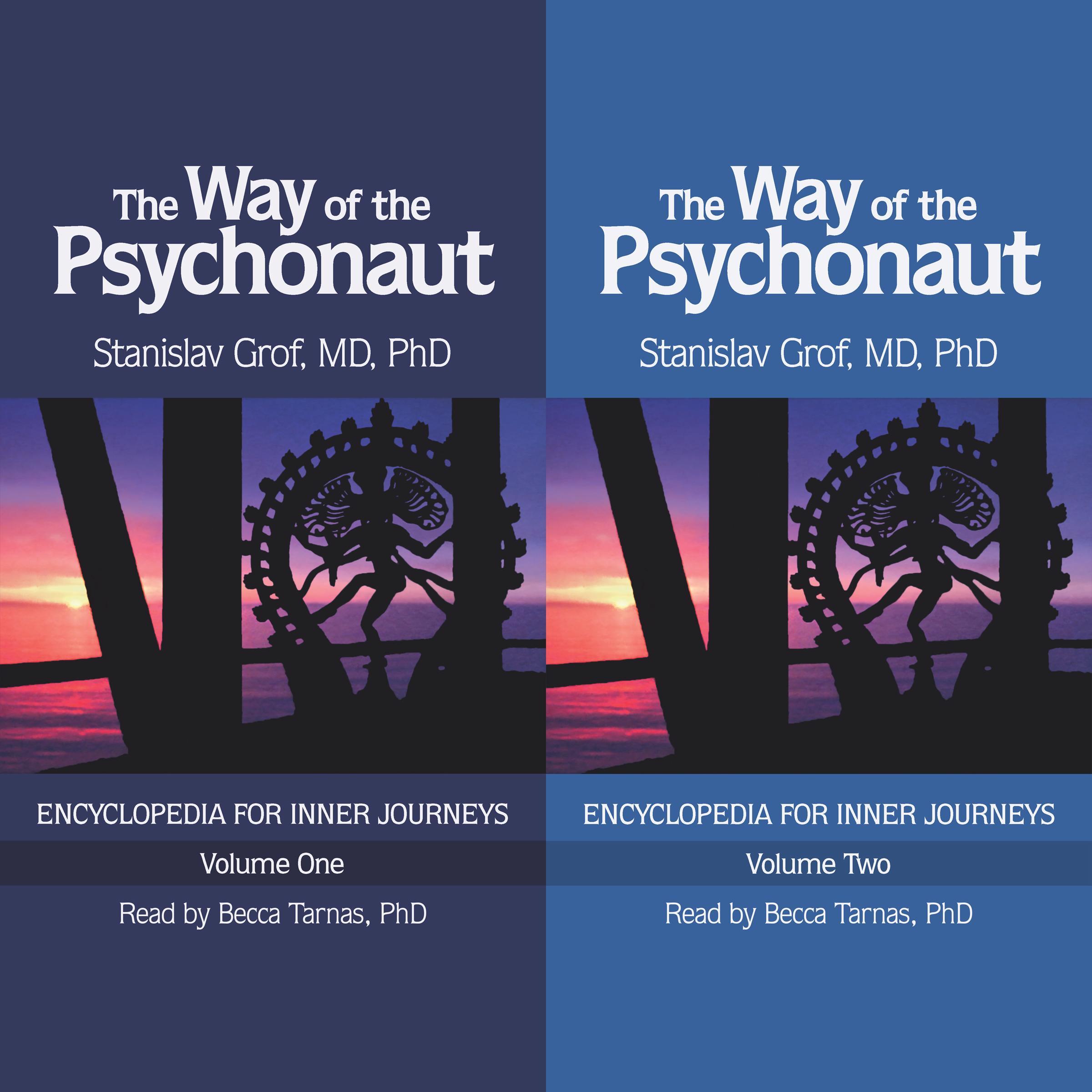 Bild: 9780998276595 | The Way of the Psychonaut Vol. 1 | Encyclopedia for Inner Journeys