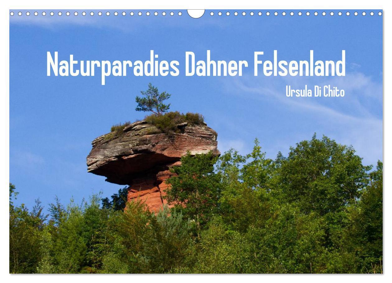 Cover: 9783383476822 | Naturparadies Dahner Felsenland (Wandkalender 2024 DIN A3 quer),...