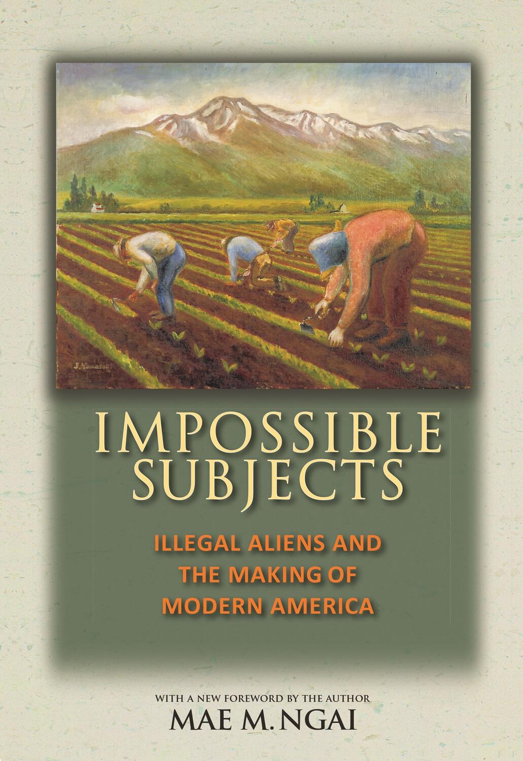 Cover: 9780691160825 | Impossible Subjects | Mae M Ngai | Taschenbuch | Englisch | 2014