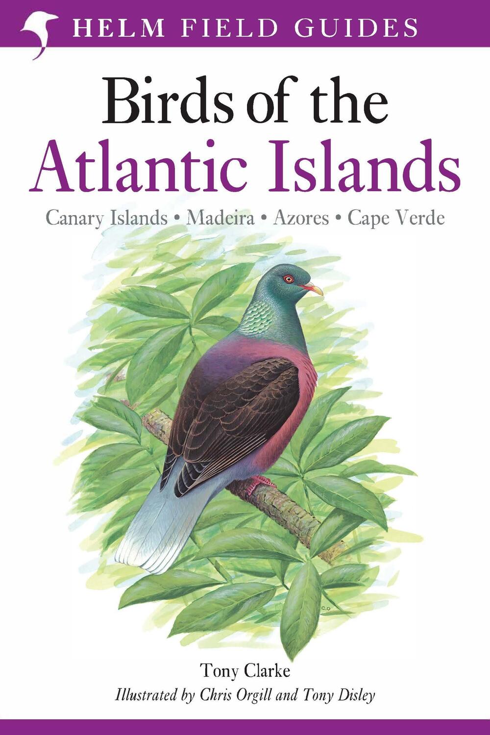 Cover: 9780713660234 | A Field Guide to the Birds of the Atlantic Islands | Mr Tony Clarke