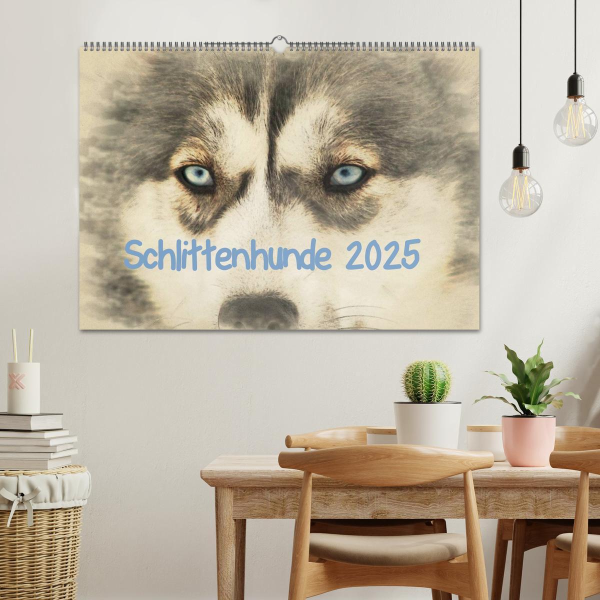 Bild: 9783435705955 | Schlittenhunde 2025 (Wandkalender 2025 DIN A2 quer), CALVENDO...