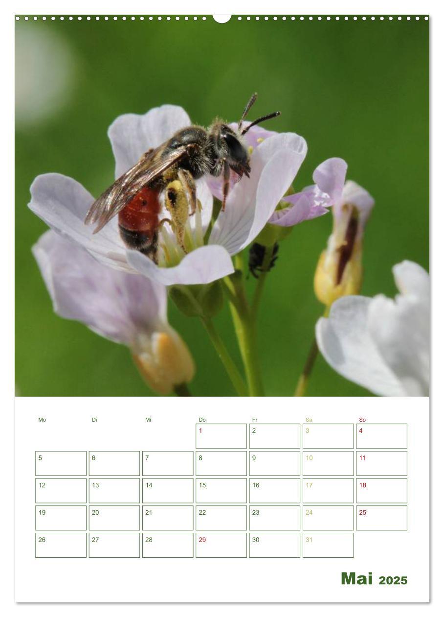 Bild: 9783457030011 | Bienen-Terminplaner 2025 (Wandkalender 2025 DIN A2 hoch), CALVENDO...