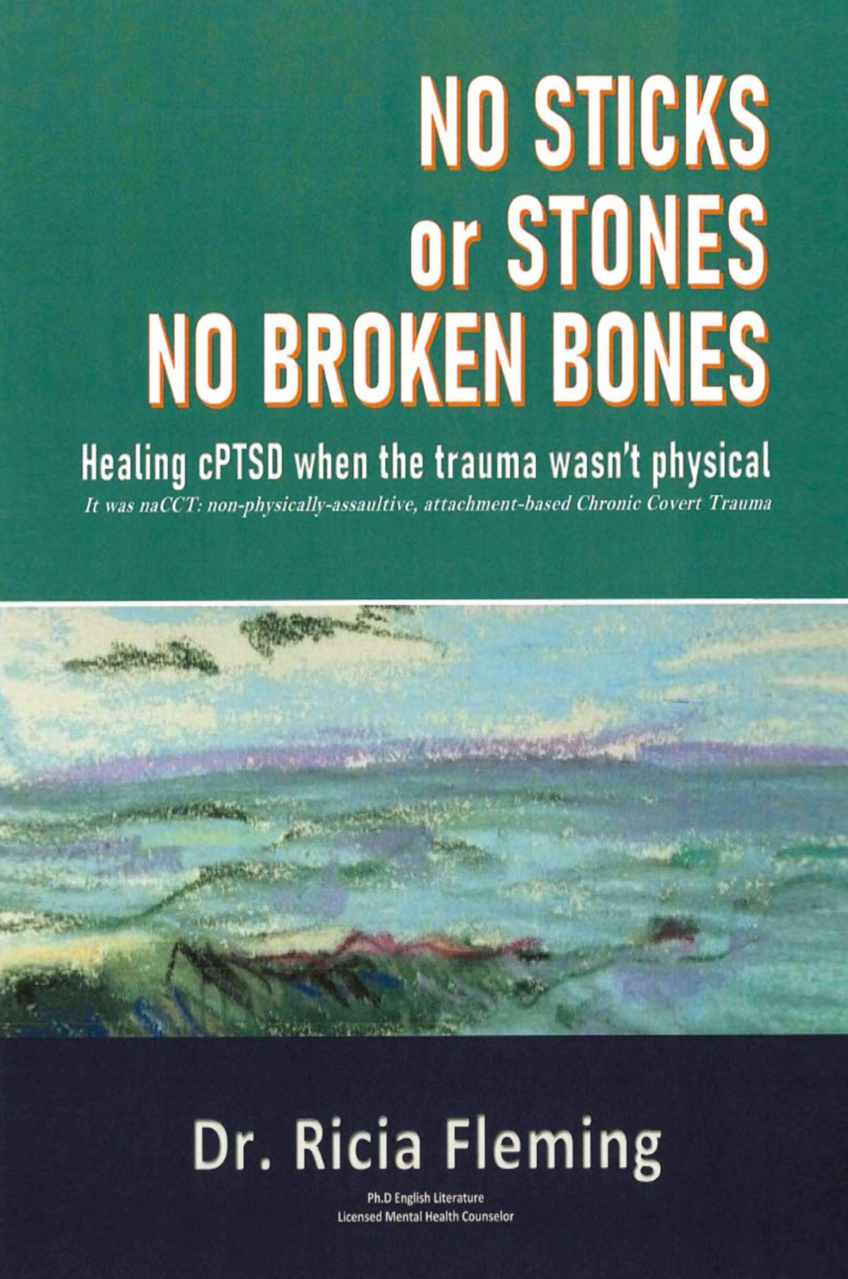 Cover: 9780578290263 | No Sticks or Stones No Broken Bones | Ricia Fleming | Taschenbuch