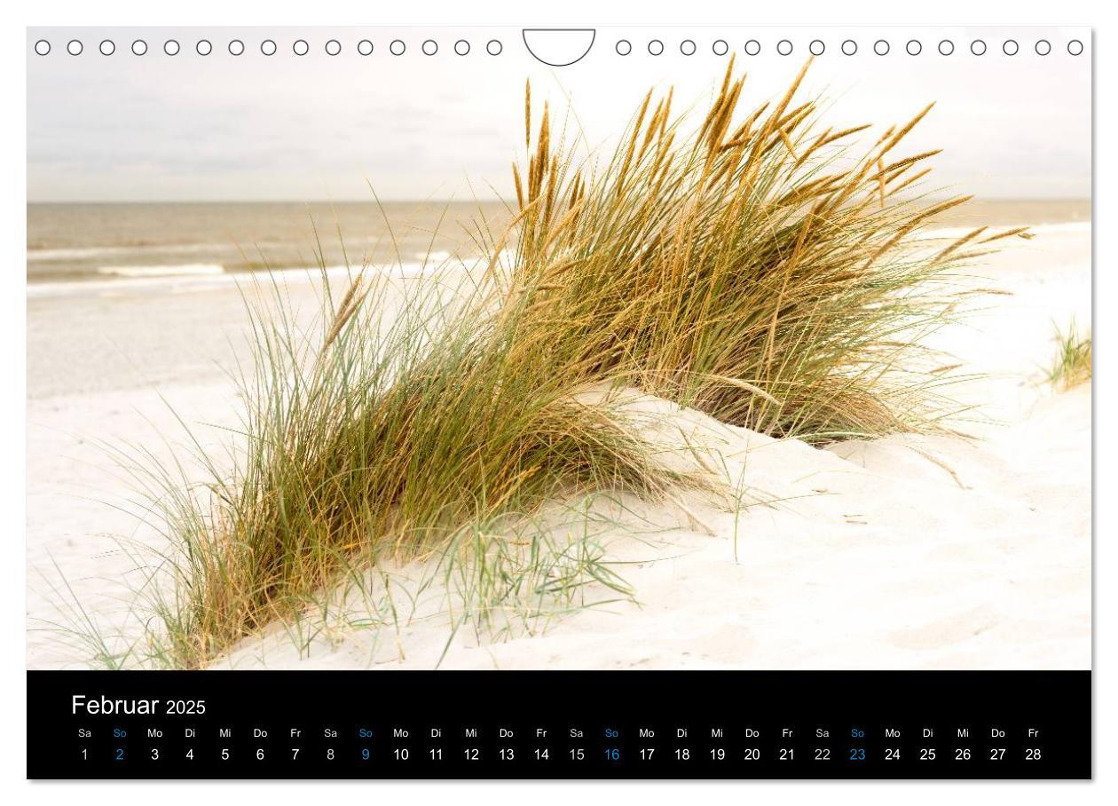 Bild: 9783435475629 | Grüße aus Texel (Wandkalender 2025 DIN A4 quer), CALVENDO...