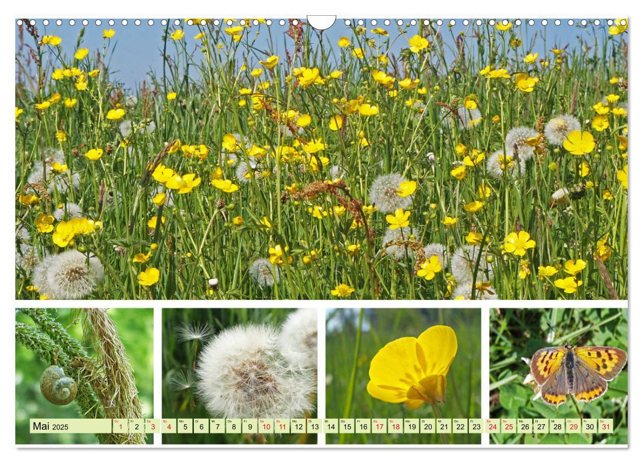 Bild: 9783435221509 | Blütenmeer am Wegesrand (Wandkalender 2025 DIN A3 quer), CALVENDO...