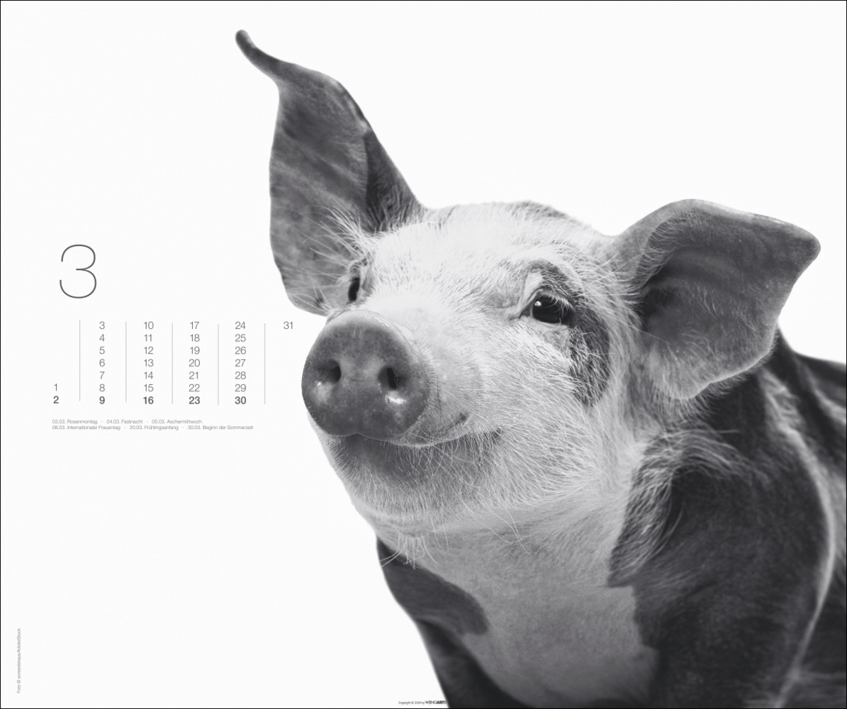 Bild: 9783839901328 | Black &amp; White Animals 2025 | Kalender | Spiralbindung | 14 S. | 2025