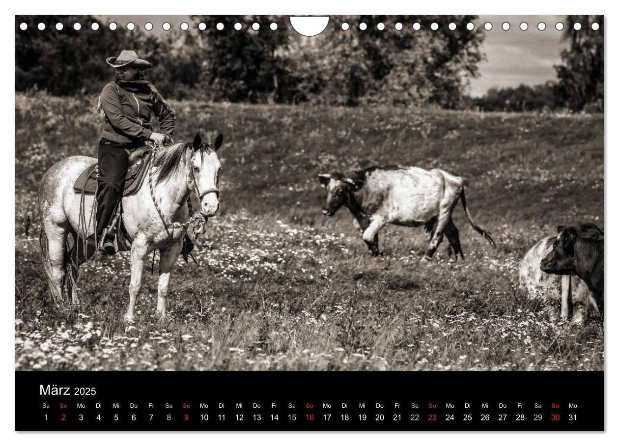 Bild: 9783435570072 | Westernreiten (Wandkalender 2025 DIN A4 quer), CALVENDO Monatskalender