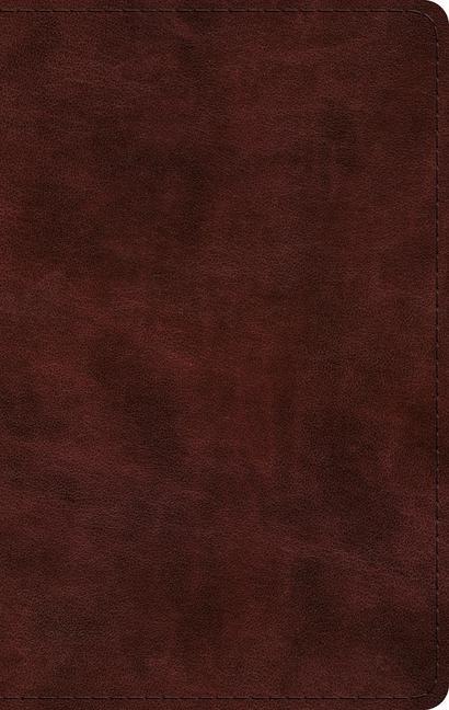 Cover: 9781433575891 | ESV Large Print Thinline Bible (Trutone, Mahogany) | ESV | Buch | 2021