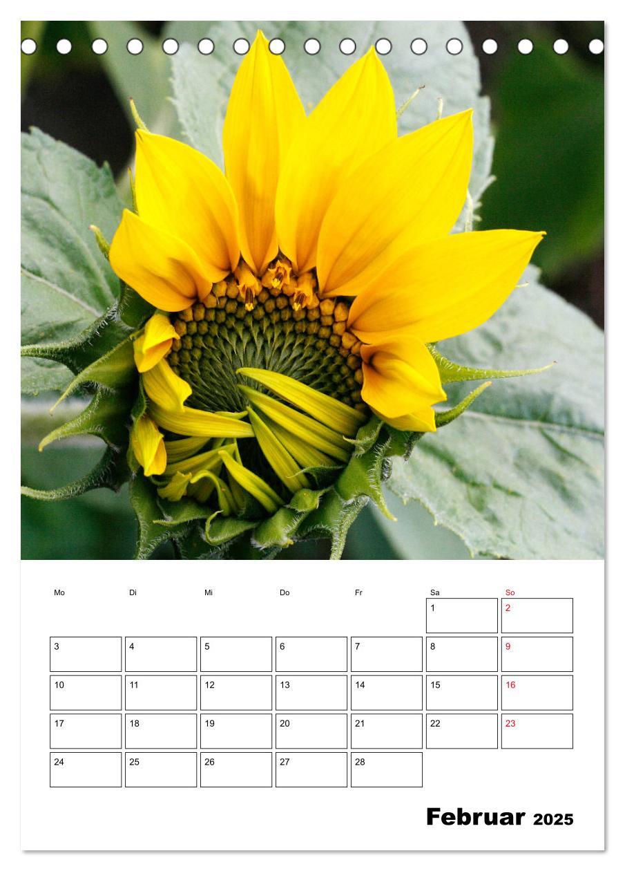 Bild: 9783435969807 | Leuchtende Sonnenblumen (Tischkalender 2025 DIN A5 hoch), CALVENDO...