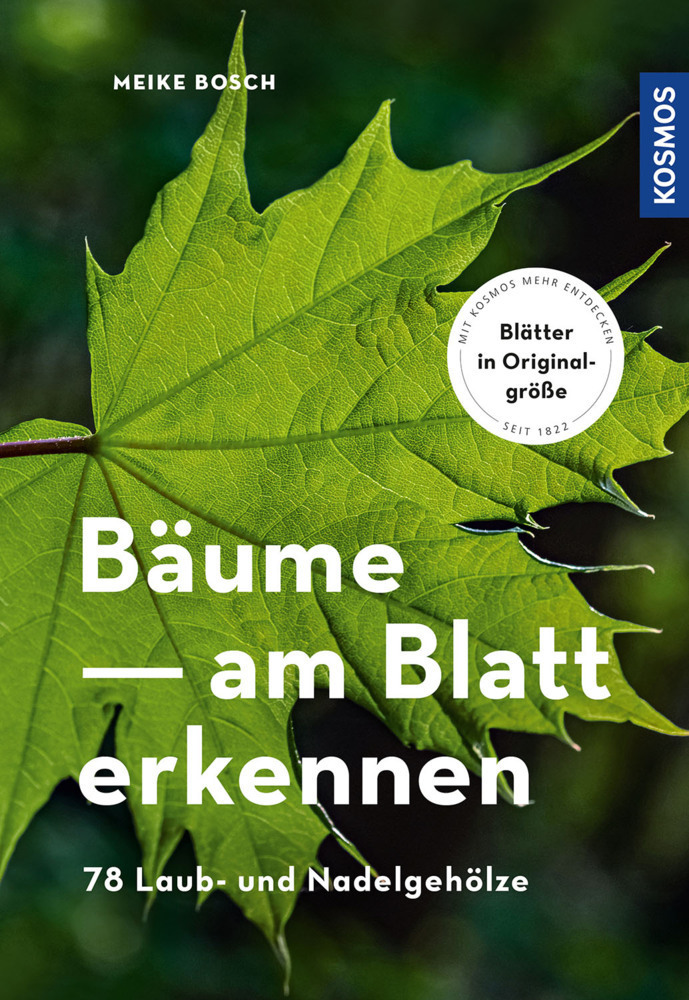 Cover: 9783440170878 | Bäume - am Blatt erkennen | Meike Bosch | Taschenbuch | Deutsch | 2020