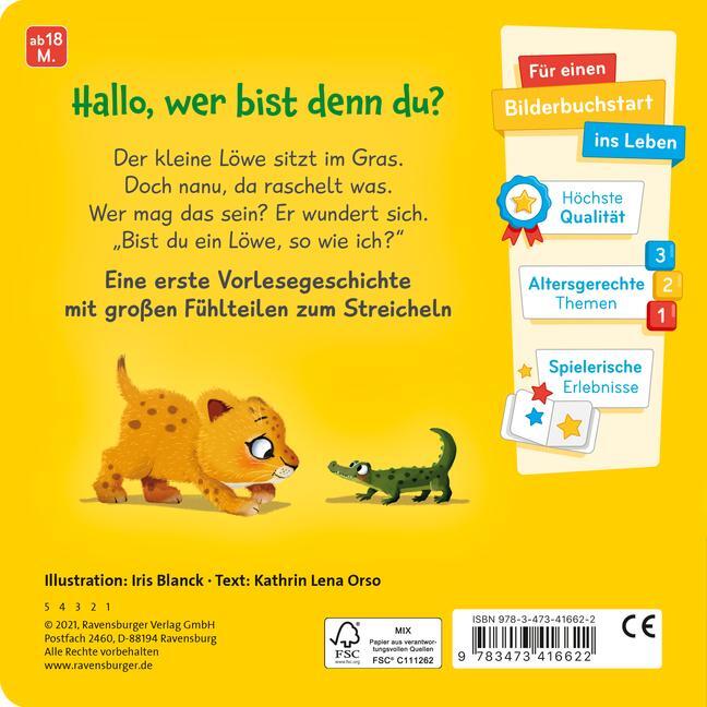 Bild: 9783473416622 | Mein erstes Vorlese-Fühlbuch: Bist du ein Löwe? | Kathrin Lena Orso