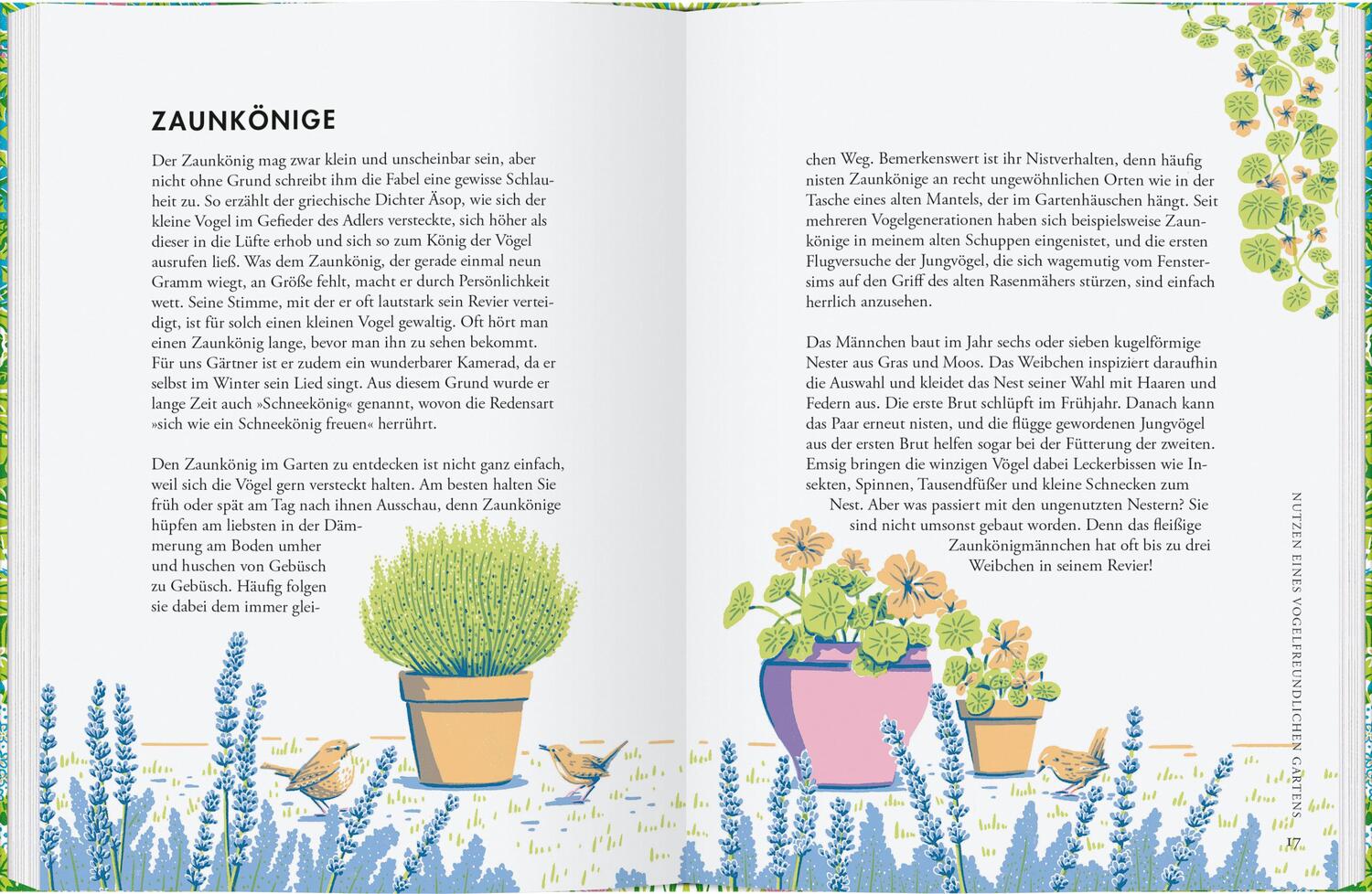 Bild: 9783836921909 | Pflanzen für Gartenvögel | Jane Moore | Buch | Deutsch | 2022