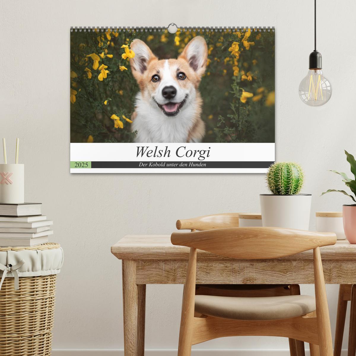 Bild: 9783435118502 | Welsh Corgi - Der Kobold unter den Hunden (Wandkalender 2025 DIN A3...